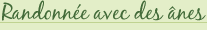 Randonn�e en �nes