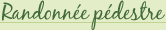 Randonnée pédestre